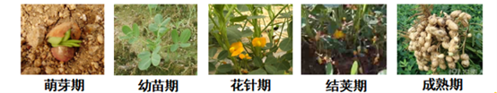 090514115.png