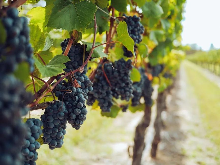 640 (12).jpg