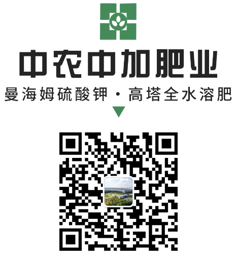 411da34555bfb0ba288bce60b55273f.png